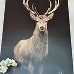 Le Cerf 8 Personnes + 1 Bebe Raon-aux-Bois