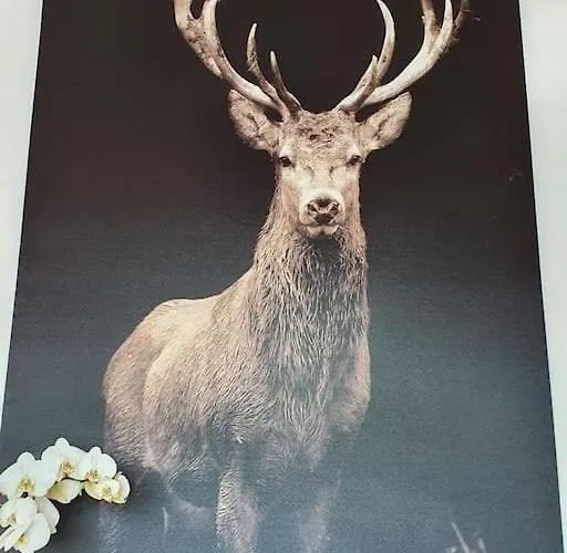 Le Cerf 8 Personnes + 1 Bebe Raon-aux-Bois